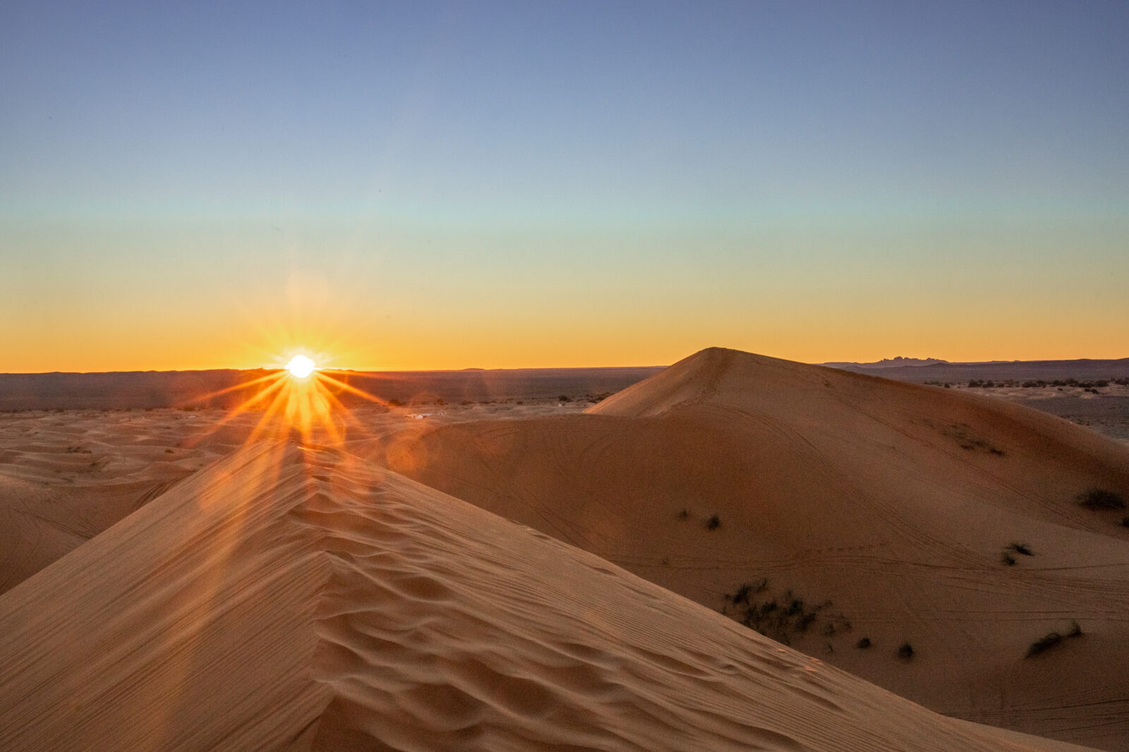 sahara wüste