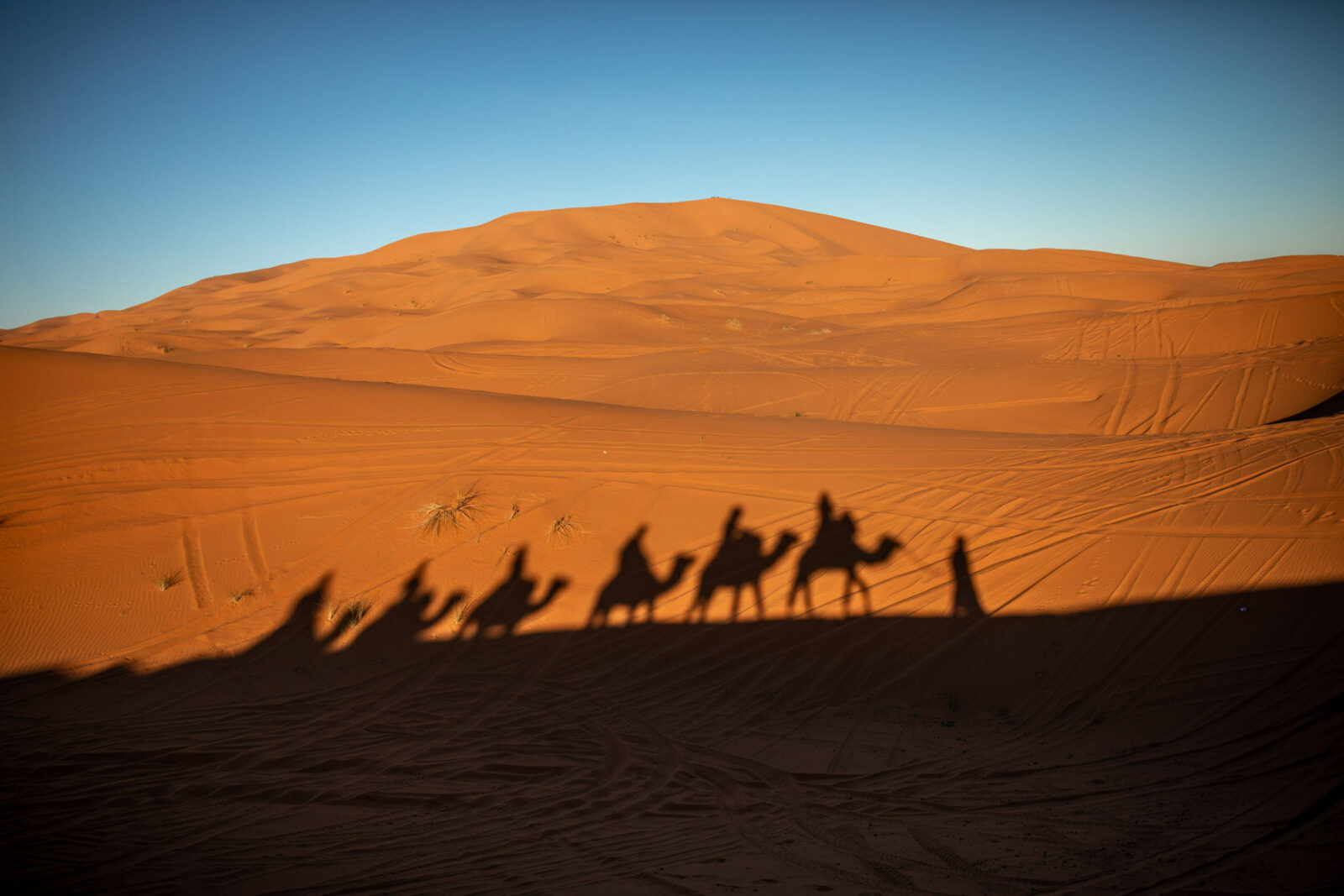 karavane in der sahara