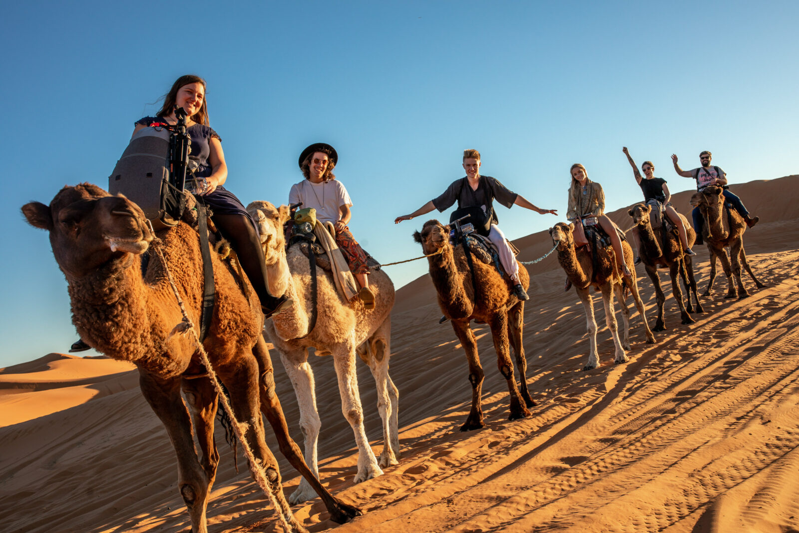 reisen auf kamel