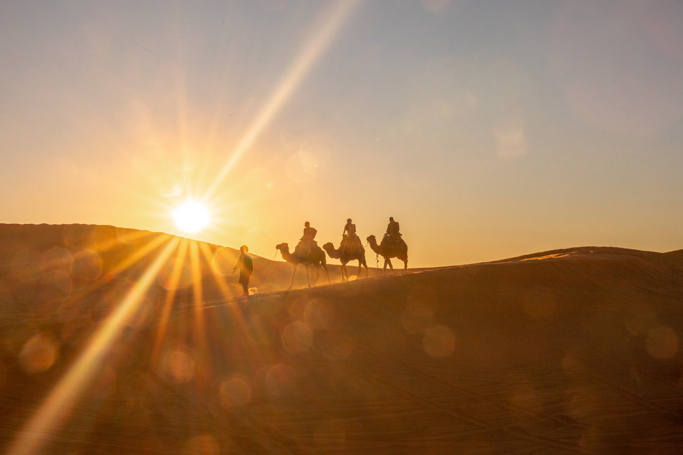 kamel karavane in marokko