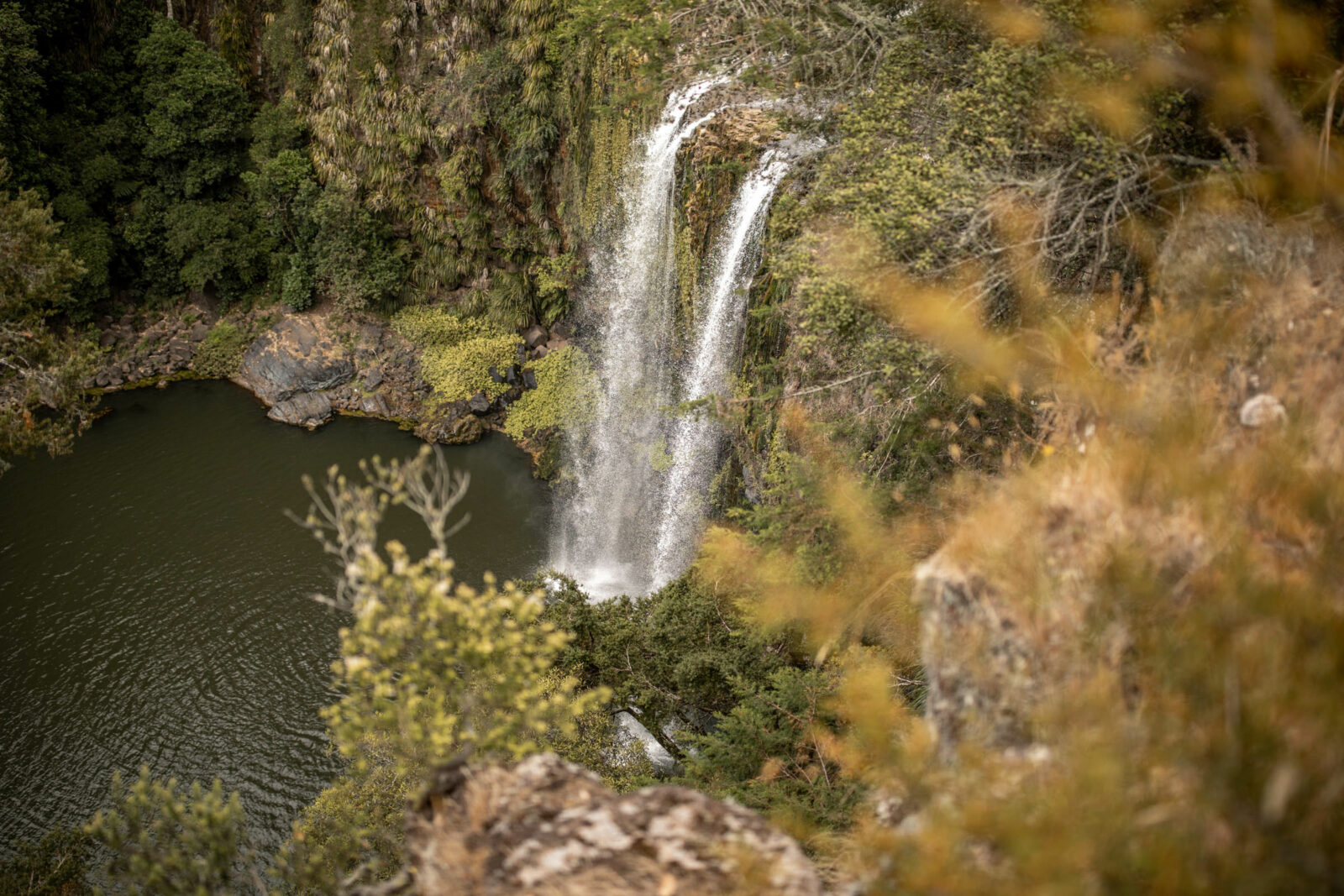 Whangarei Wasserfall Neuseeland