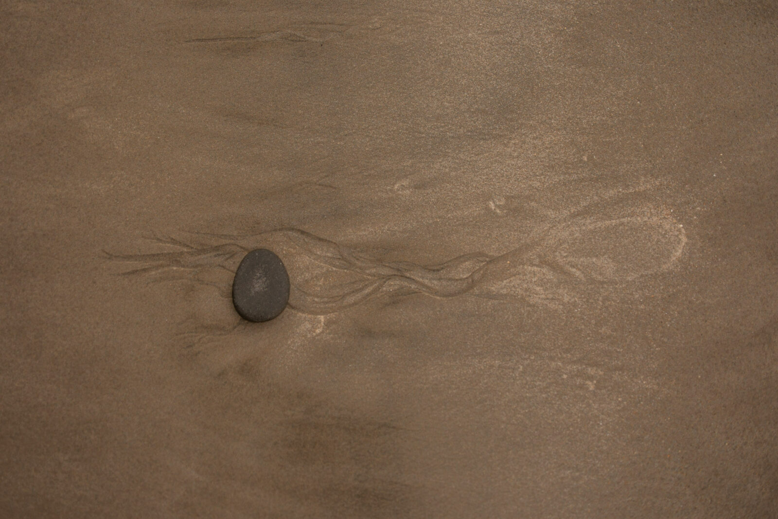 stein im sand bei den moeraki boulders