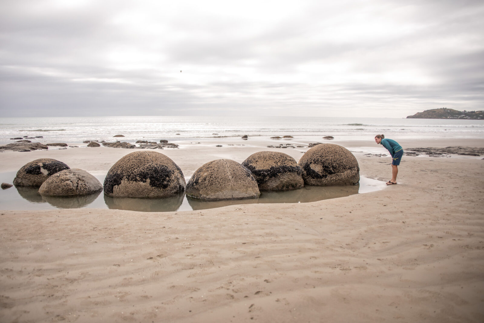 boulders in moeraki