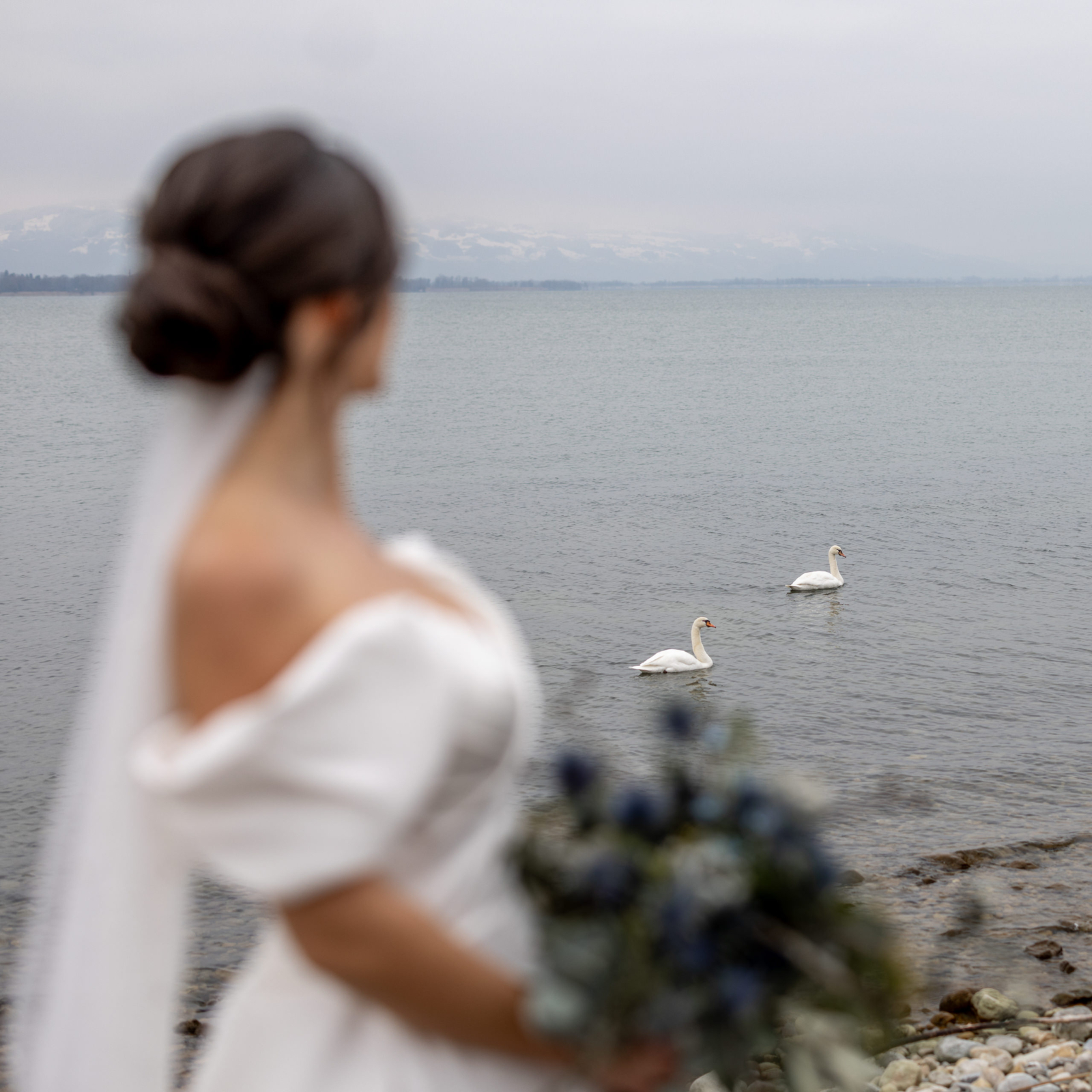 bridal photo with swans